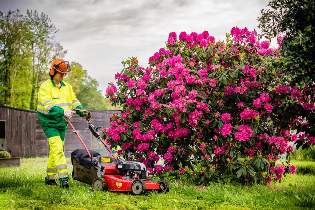 Espace verts - Tonte de la pelouse